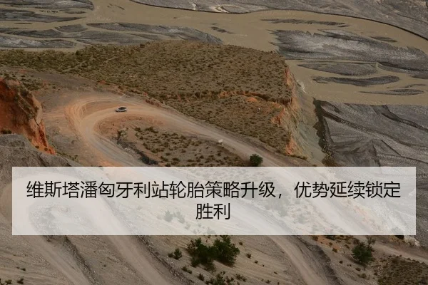 维斯塔潘匈牙利站轮胎策略升级，优势延续锁定胜利