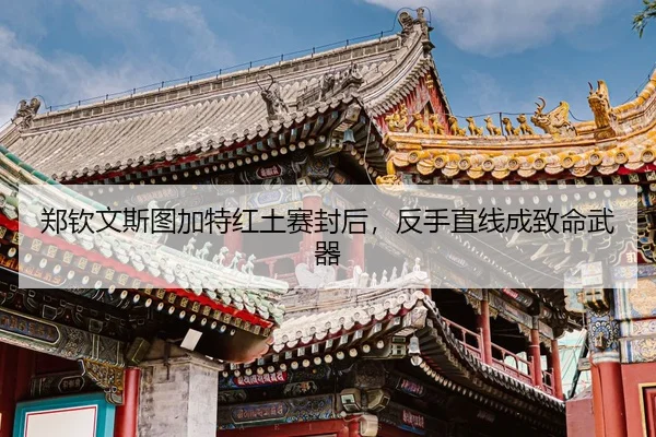 zheng-qin-wen-si-tu-jia-te-hong-tu-sai-feng-hou-fan-shou-zhi-xian-cheng-zhi-ming-wu-qi-3-361.jpg