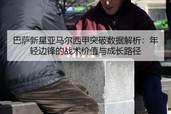 ba-sa-xin-xing-ya-ma-er-xi-jia-tu-po-shu-ju-jie-xi-nian-qing-bian-feng-de-zhan-shu-jia-zhi-yu-cheng-zhang-lu-jing-2-694.jpg