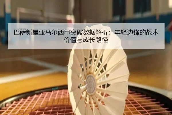 ba-sa-xin-xing-ya-ma-er-xi-jia-tu-po-shu-ju-jie-xi-nian-qing-bian-feng-de-zhan-shu-jia-zhi-yu-cheng-zhang-lu-jing-3-682.jpg