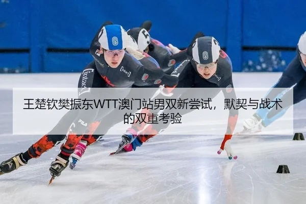 王楚钦樊振东WTT澳门站男双新尝试，默契与战术的双重考验